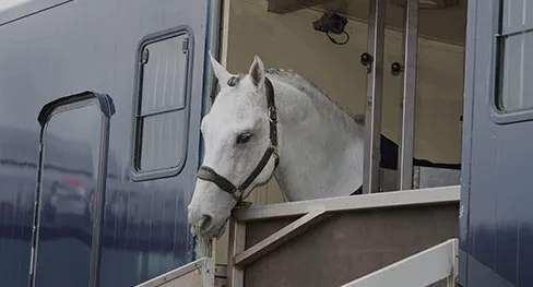 Horsebox and Trailer Repairs